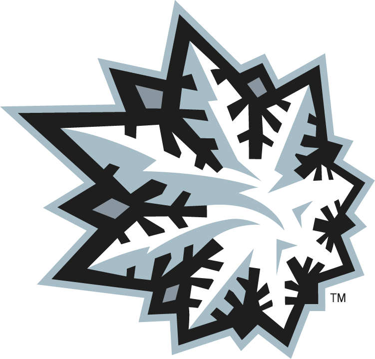 Green Bay Blizzard 2010-2014 Alternate Logo iron on transfers for clothing
